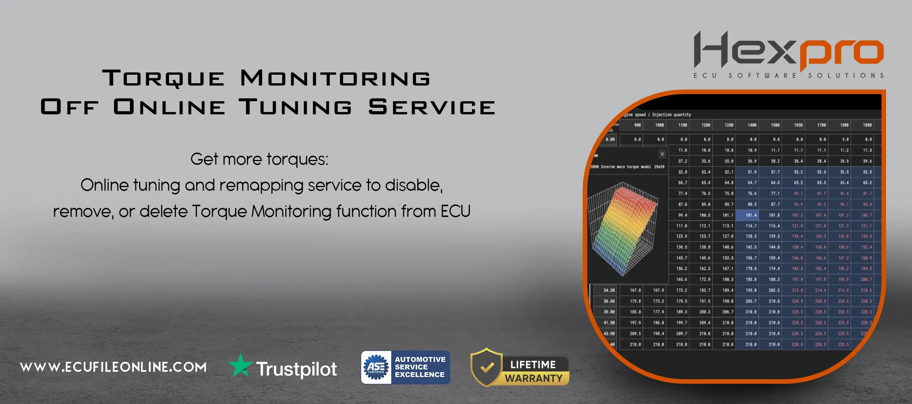 Tuning Files Torque Torque Monitoring Off File and Disable Online Tuning Service | HEXPRO